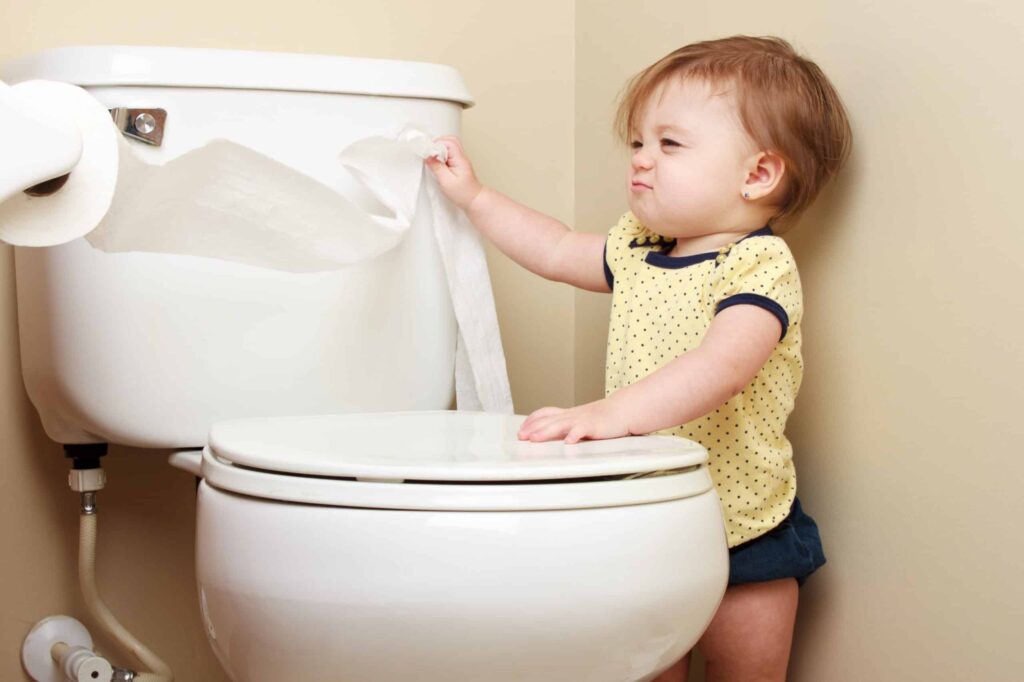 Clogged Toilet Repair Service in DFW